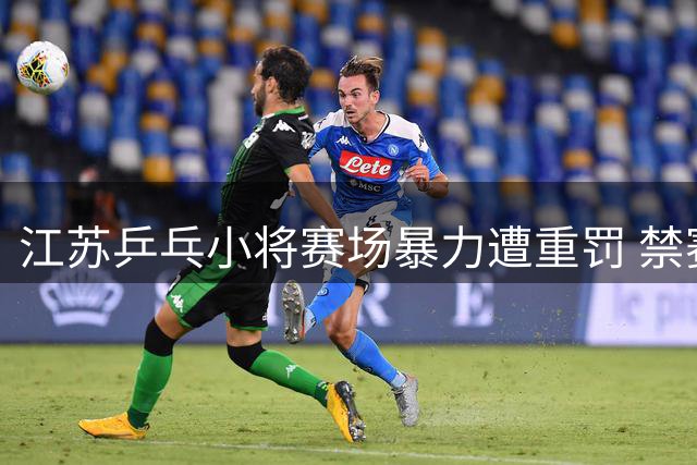江苏乒乓小将赛场暴力遭重罚 禁赛一年并取消选拔赛资格